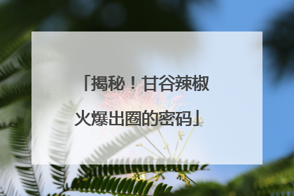 揭秘！甘谷辣椒火爆出圈的密码